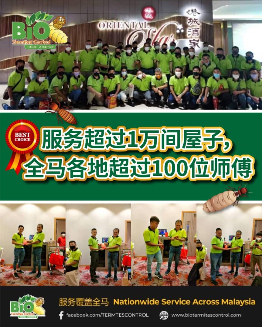 WhatsApp Image 2025-07-15 at 07.22.56 (1)