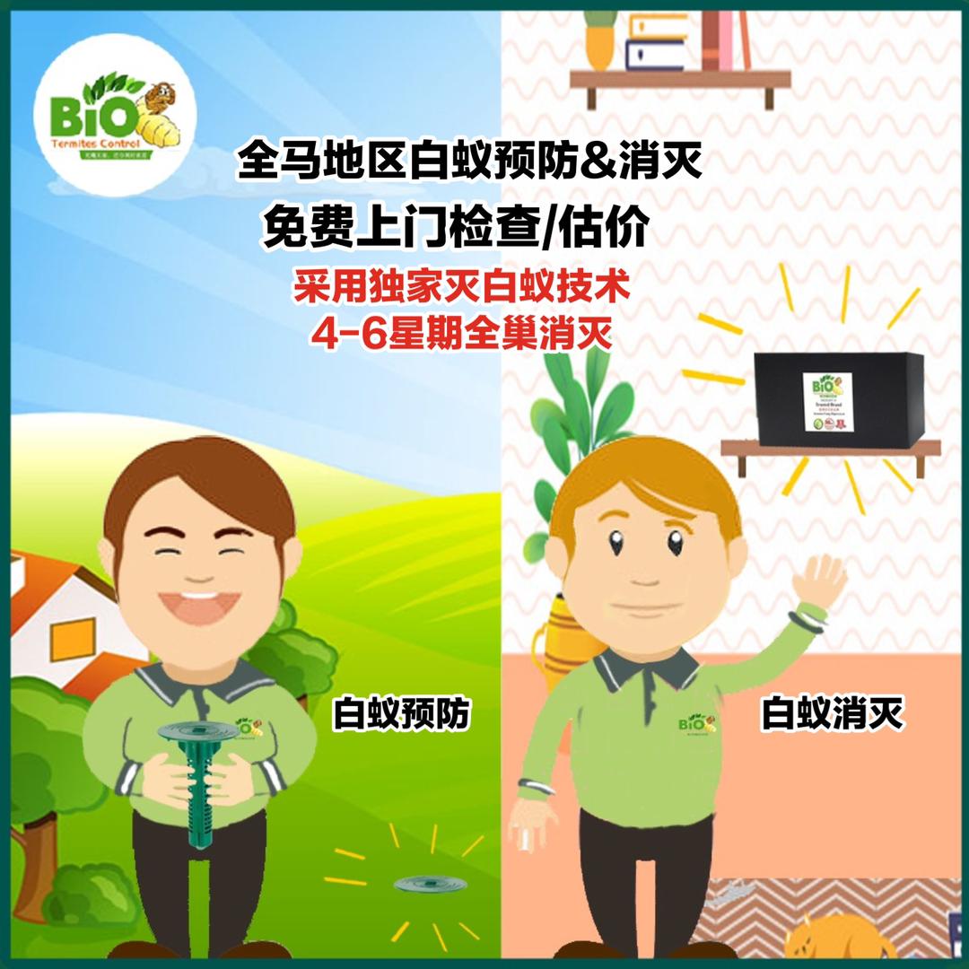 WhatsApp Image 2025-07-15 at 07.22.57